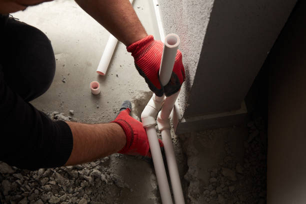 Best Leak Detection Services  in Susitna North, AK