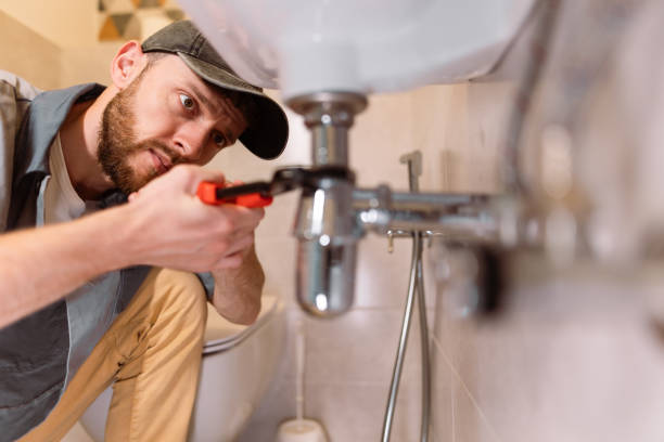 Best Plumbing Services Near Me  in Susitna North, AK
