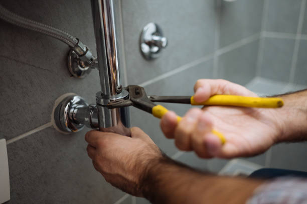 Best Local Plumber Services  in Susitna North, AK